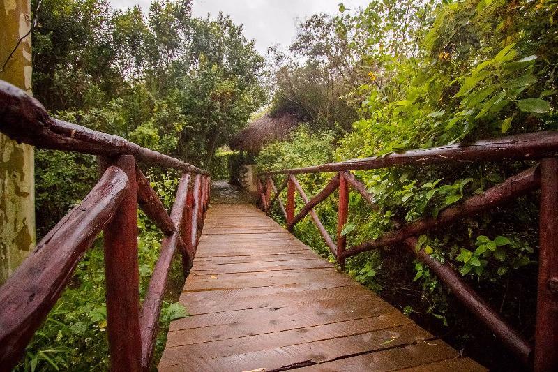 Dove Nest Lodge Naivasha Exteriör bild